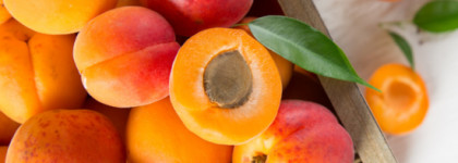 Royal Apricot от Demeter: возвращение летнего абрикоса в разгар весны