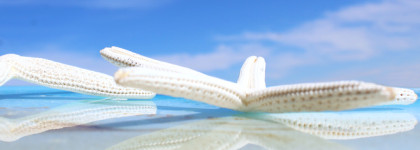 Miami beach от Edgardio Chilini: обворожительное лето во флаконе