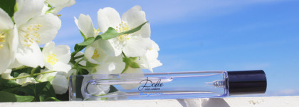 Dolce Blue Jasmine Dolce&Gabbana: странная новинка люкс 2024