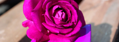 Loverdose Diesel EDP: аура дерзкой девушки или её бабушки?