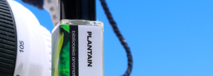 Топ-3 в нескольких категориях. Нежные, тёплые, необычные + лучший