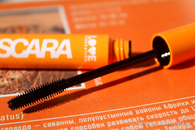 Щёточка крупным планом