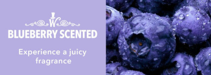 Румяна Sheglam x Willy Wonka Violet Flush: необычные румяна с черничным ароматом