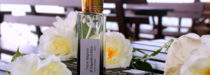 Edgardio Chilini Theme Magnolia или как попасть в летний Сочи за секунду даже зимой