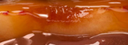 Нежная космическая слива с Gisou honey infused lip glazed plum