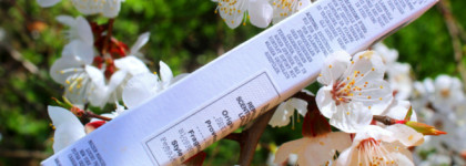 EDT Springtime in a Park Maison Martin Margiela: парк, из которого хочется бежать, но не за ароматом