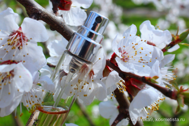 EDT Springtime in a Park Maison Martin Margiela: парк, из которого хочется бежать, но не за ароматом