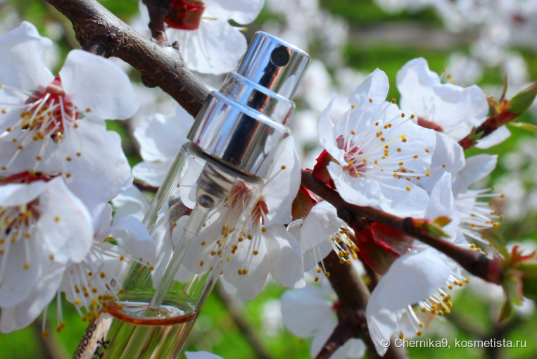 Пульвелизатор