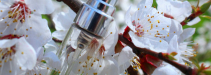 EDT Springtime in a Park Maison Martin Margiela: парк, из которого хочется бежать, но не за ароматом