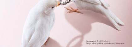 Ещё магнолий с франжипани: EDP Van Cleef & Arpels California Réverie №15485HG любимый аромат весны 2026