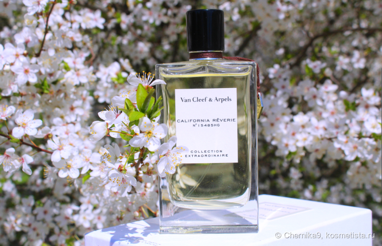 женские духи