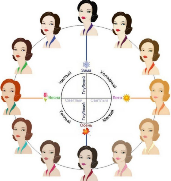 12 цветотипов