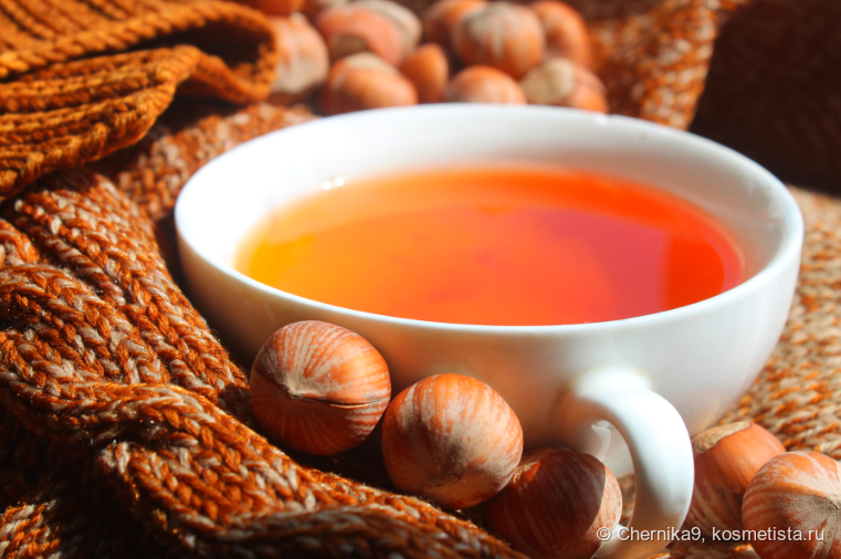 Иллюстрация осенних оттенков фундука