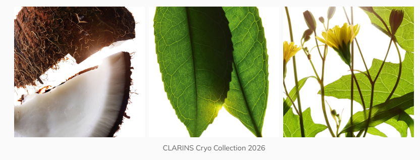 Ключевые ингредиенты