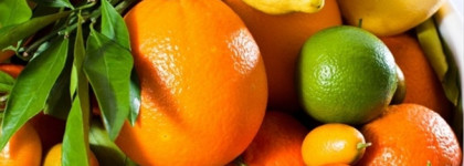 Прощай, моя любовь. Miss Dior eau de parfum