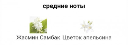 Аромат с нотой сиропа от кашля Hypnotic Poison Eau de Parfum Dior