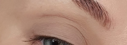 Хочу/Могу: затёртая до дыр. Базовая палетка Mac Amber Times Nine Eye Shadow x 9