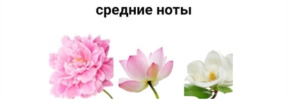 Всемирно известный Bright Crystal Versace EDT