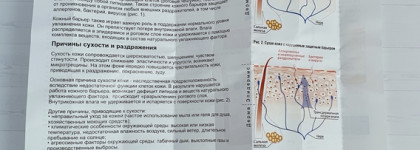 Уход за телом, губами и волосами Липобейз от компании Фармтек