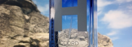 Доступный аромат с красивым и богатым звучанием - Henderson Spirit Accord