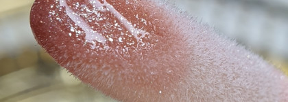 Свои губы, только лучше: комплиментарное масло для губ Divage Diamond Lip Oil | 04 «Кремовый»
