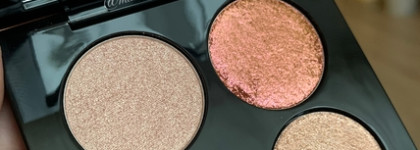 Одна из удачных малышек от Пэт. Venus in Fleurs Luxe Quad: Voyeuristic Vixen от Pat Mcgrath Labs