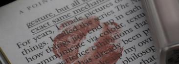 Elian Superior Matte Liquid Lipstick - лучшие матовые помады бюджетного сегмента с качеством люкса?