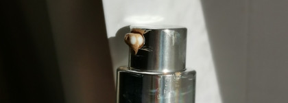 А так ли ты хорош? - Dior Diorskin Forever SPF 35 PA+++