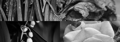 Mon moi Parfum - by kilian vodka on the rocks eau de parfum