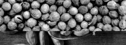 Mon moi Parfum - by kilian vodka on the rocks eau de parfum