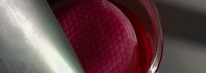 Кислотная вечеринка с Elizavecca Hell-Pore Perfect Wine Sparkling Peeling Pad