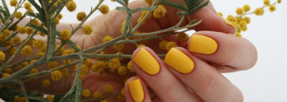 Мимоза и ничего лишнего Nailor Munch #np909