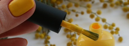 Мимоза и ничего лишнего Nailor Munch #np909