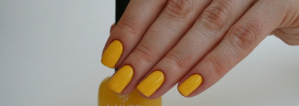 Мимоза и ничего лишнего Nailor Munch #np909