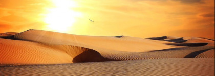 Byredo Mojave Ghost - пустынный цветок волшебной красоты, который расцветает весной