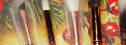 Топ 8 кистей для макияжа Zoeva. Много ли надо для счастья и создания красивого образа