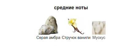 Stramonio V Canto парфюмерная вода. Ядовитый букет цветов