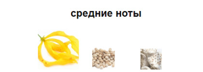 Парфюм Estée Estée Lauder - как Иланг-иланг сумел остаться в пирамиде