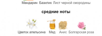 Aqua Allegoria Forte Mandarine Basilic Guerlain - яркий мандарин в медовом обрамлении