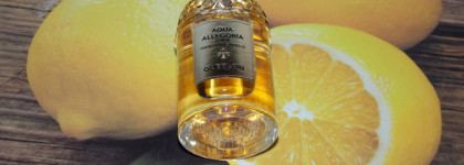 Aqua Allegoria Forte Mandarine Basilic Guerlain - яркий мандарин в медовом обрамлении