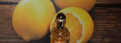 Aqua Allegoria Forte Mandarine Basilic Guerlain - яркий мандарин в медовом обрамлении