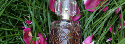 Чудесный шипровый аромат Florence Roberto Cavalli. Палитра месяца