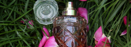 Чудесный шипровый аромат Florence Roberto Cavalli. Палитра месяца