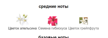 Чудесный шипровый аромат Florence Roberto Cavalli. Палитра месяца