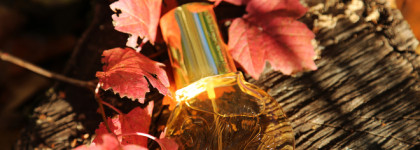 Дорогое звучание бюджетного аромата - Vanderbilt Gloria Vanderbilt