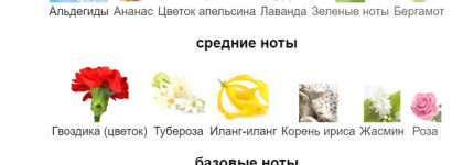 Дорогое звучание бюджетного аромата - Vanderbilt Gloria Vanderbilt