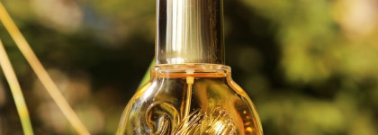 Дорогое звучание бюджетного аромата - Vanderbilt Gloria Vanderbilt