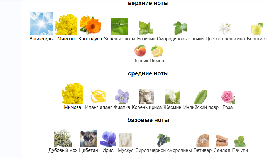 Фото из интернета