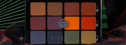На волне положительных отзывов: Viseart Dark mattes