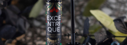 Купила ради упаковки. Тушь для ресниц Vivienne Sabo Excentrique